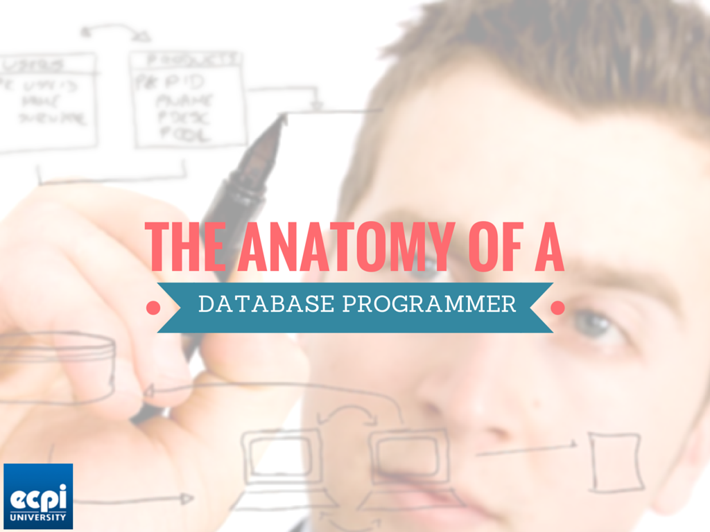The Anatomy of a Database Programmer
