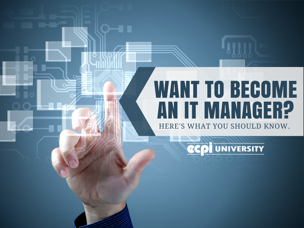 How to Become an IT Manager