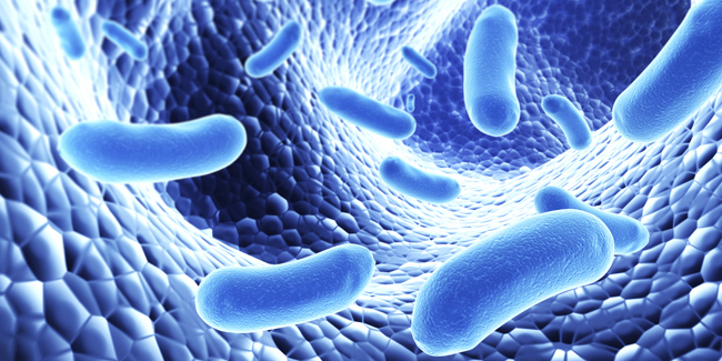 HeartSaver Bloodborne Pathogens HeartSaver Bloodborne Pathogens