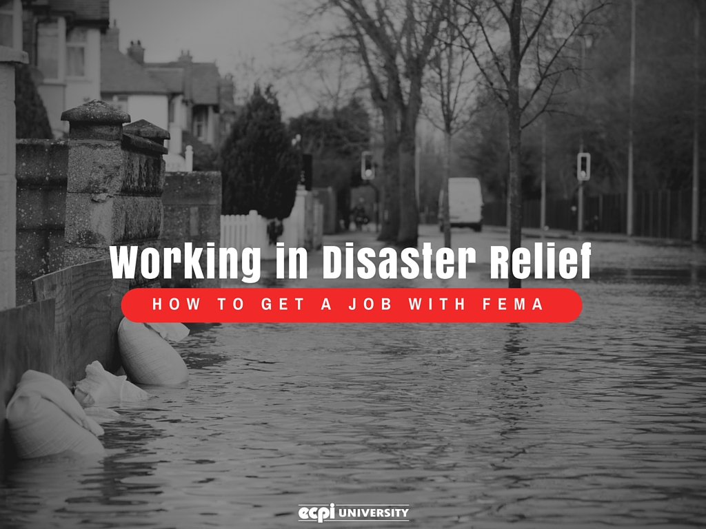 how to get a job with FEMA working in disaster relief