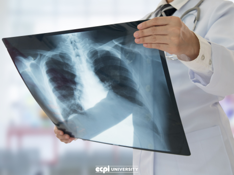 Learning Radiology: Basic Information about the Field for Future Technologists