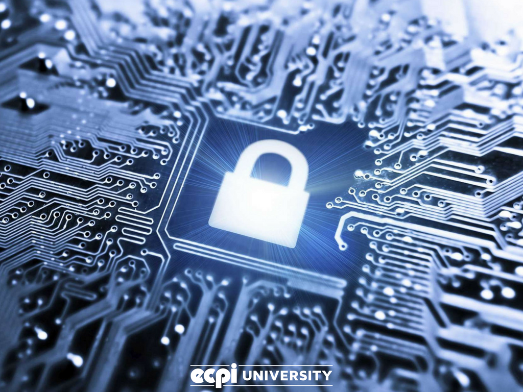 What Can I do with a Masters in Cyber Security?