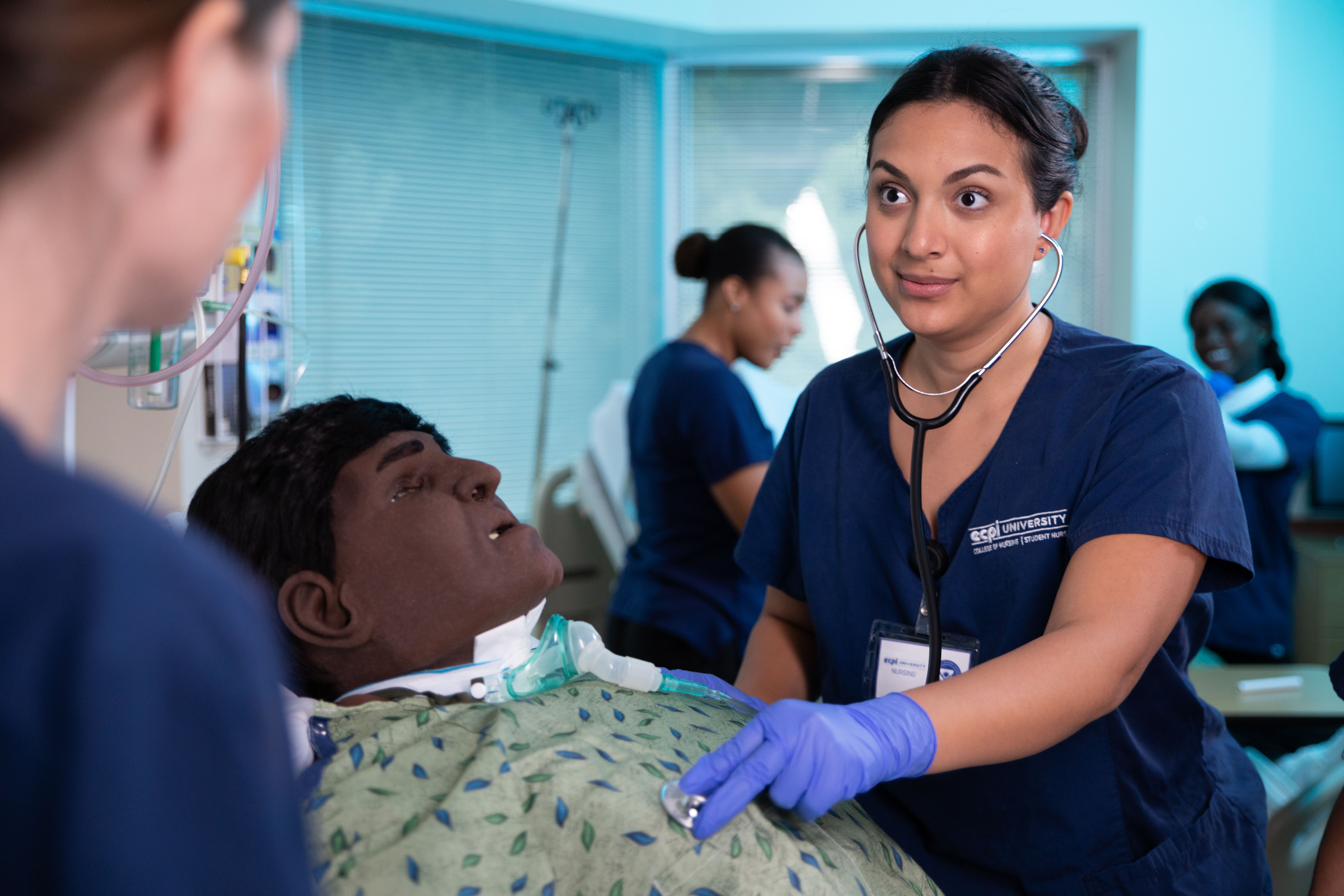 Nursing Demands and Expectations: What Will Your Role as Nurse be Like?