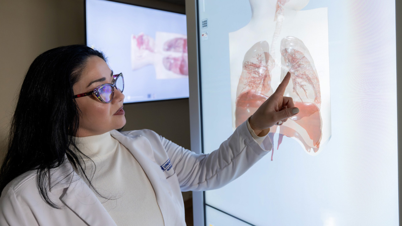 The Rising Role of Physician Assistants Blog Image