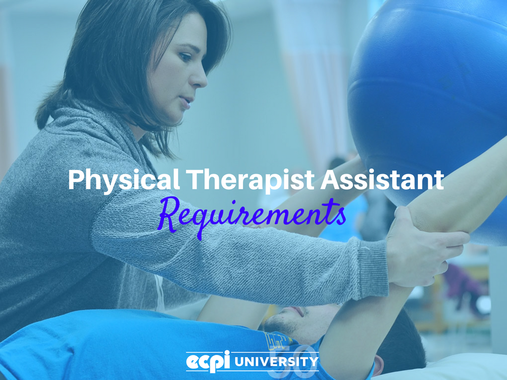 remote assistant requirements remote assistant requirements