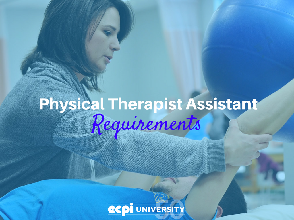 Requirements to Be a Physical Therapist's Assistant
