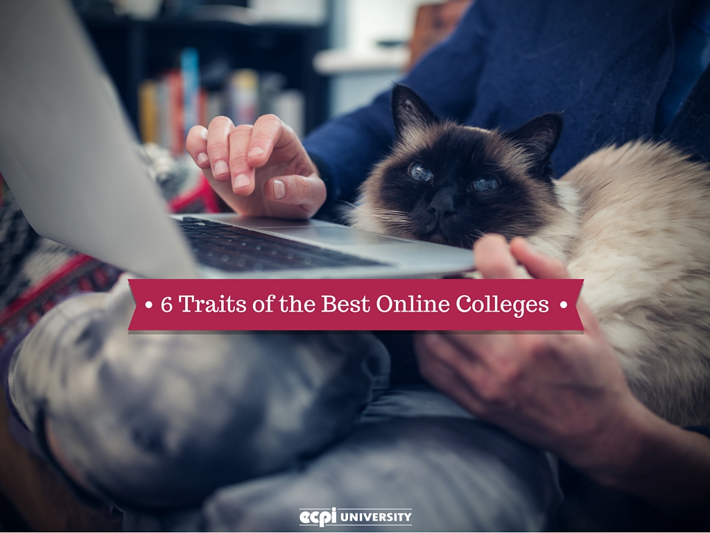 best online colleges