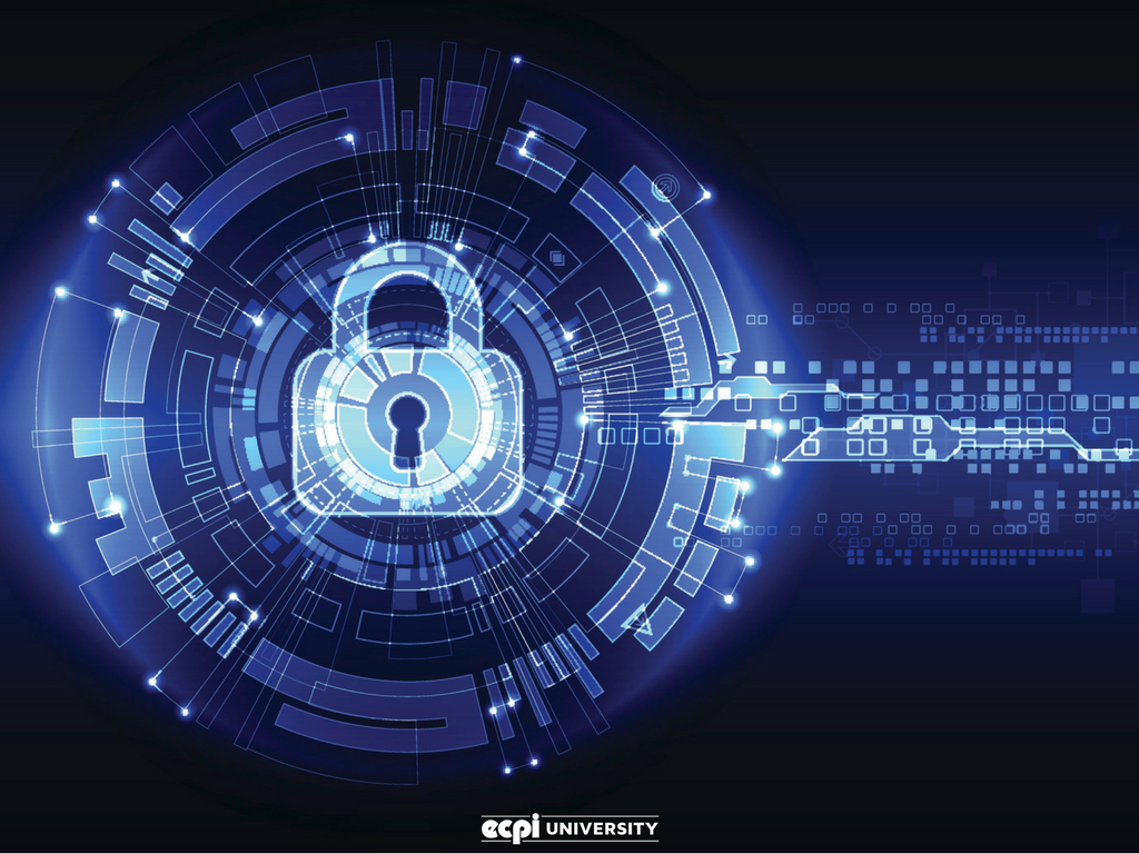 Cyber Security Online Degree