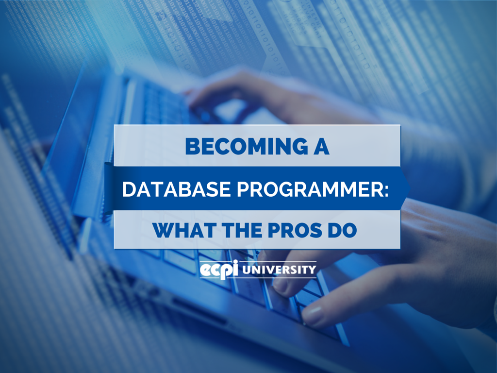 becoming a database programmer
