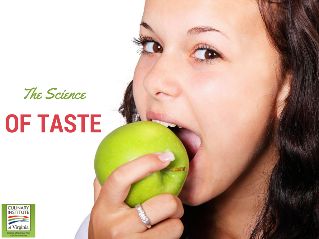 How does taste work?