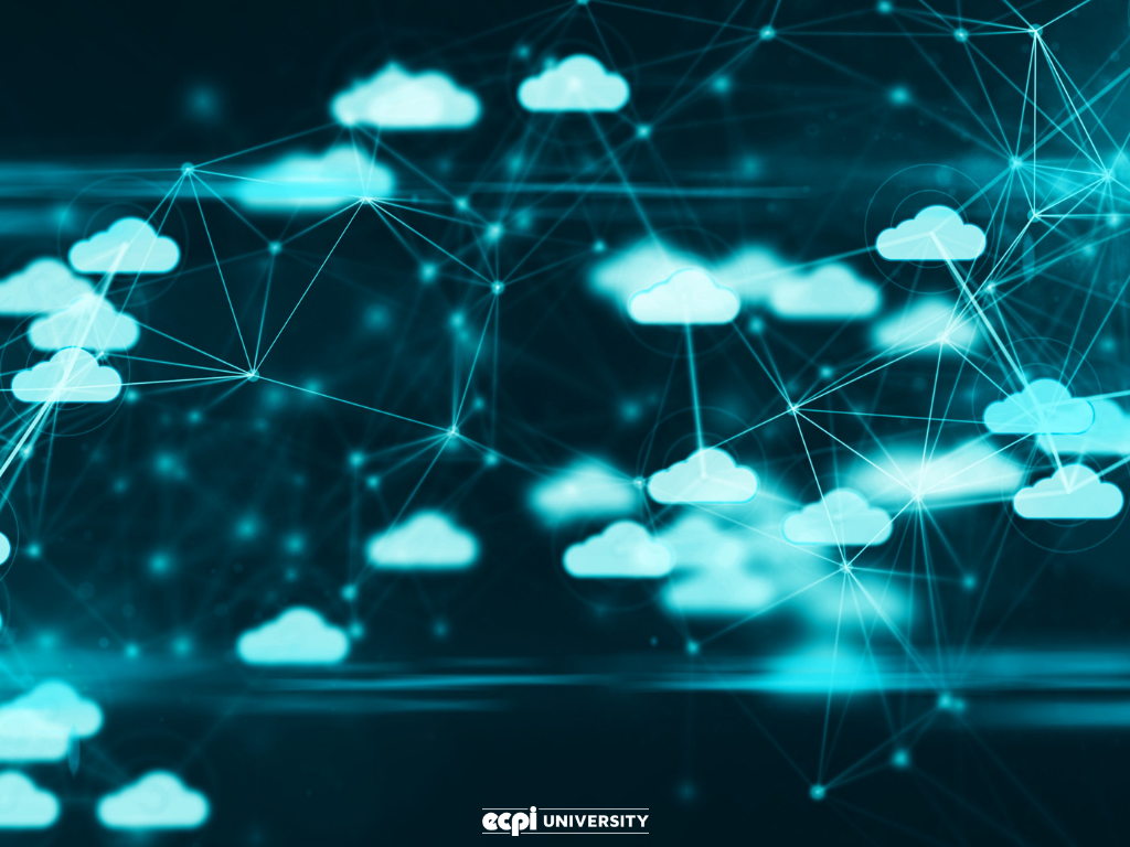 What Can you Do with a Degree in Cyber Security that Relates to Cloud Computing?