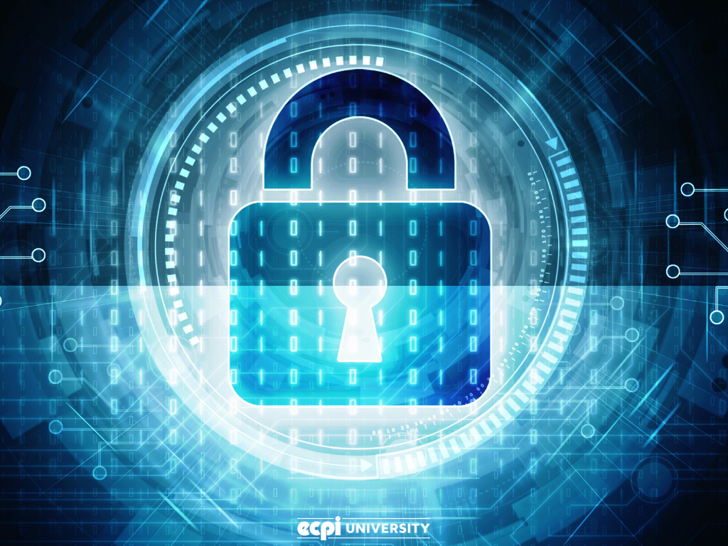 Cyber Security Degree: Worth It for Someone Who Wants to Work in the Industry?