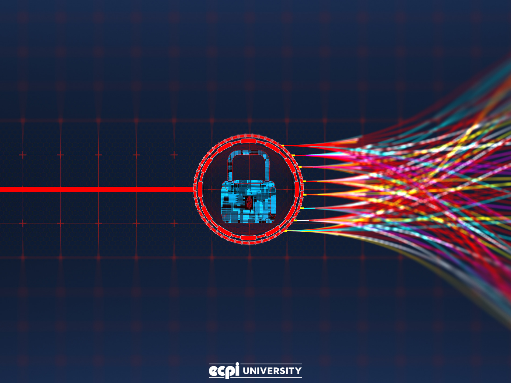 Why Study Cyber Security? Reasons Why This Field Could Be Right for You!