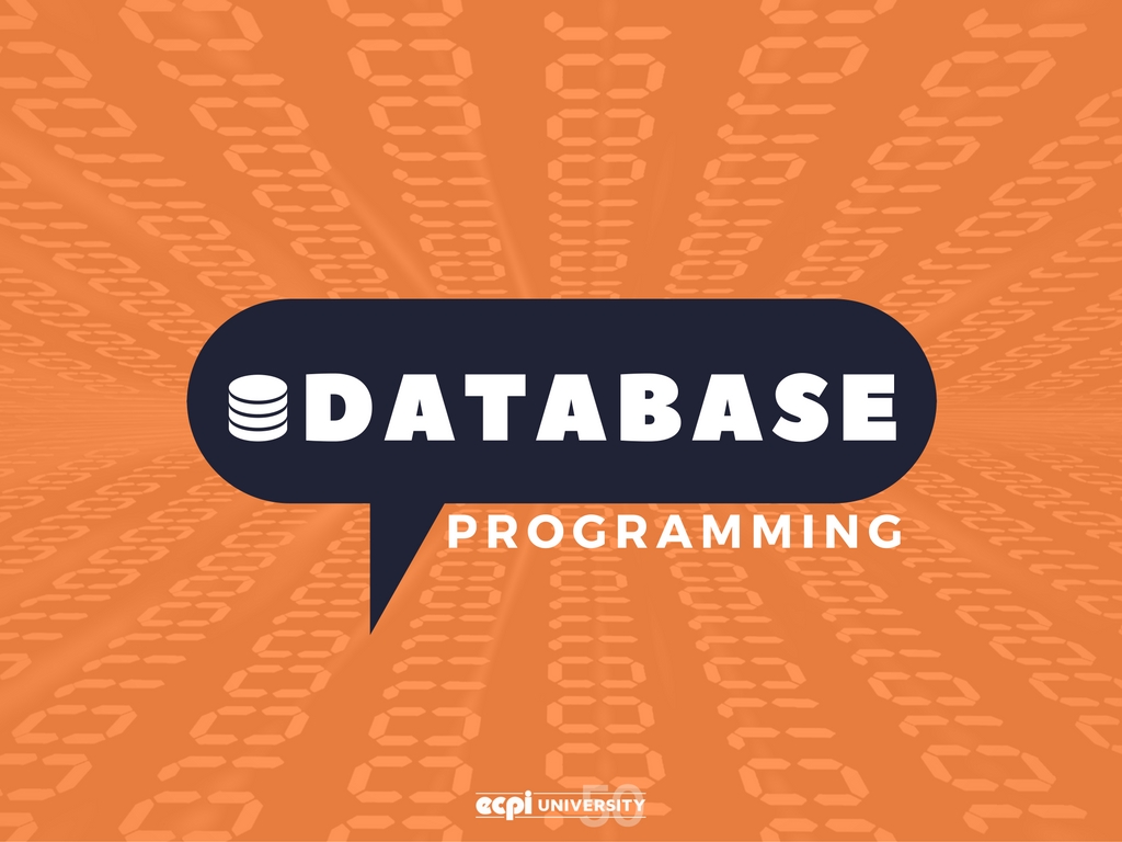 What Should I Know Before Starting a Database Programming Class? - ECPI University