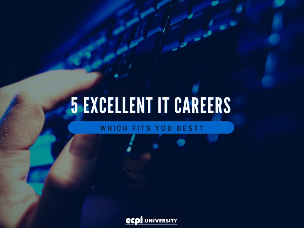 IT management careers