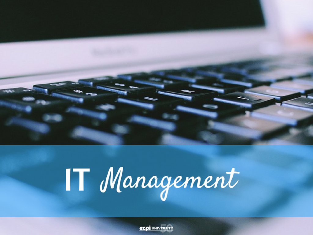 What is the Career Outlook for an IT manager?