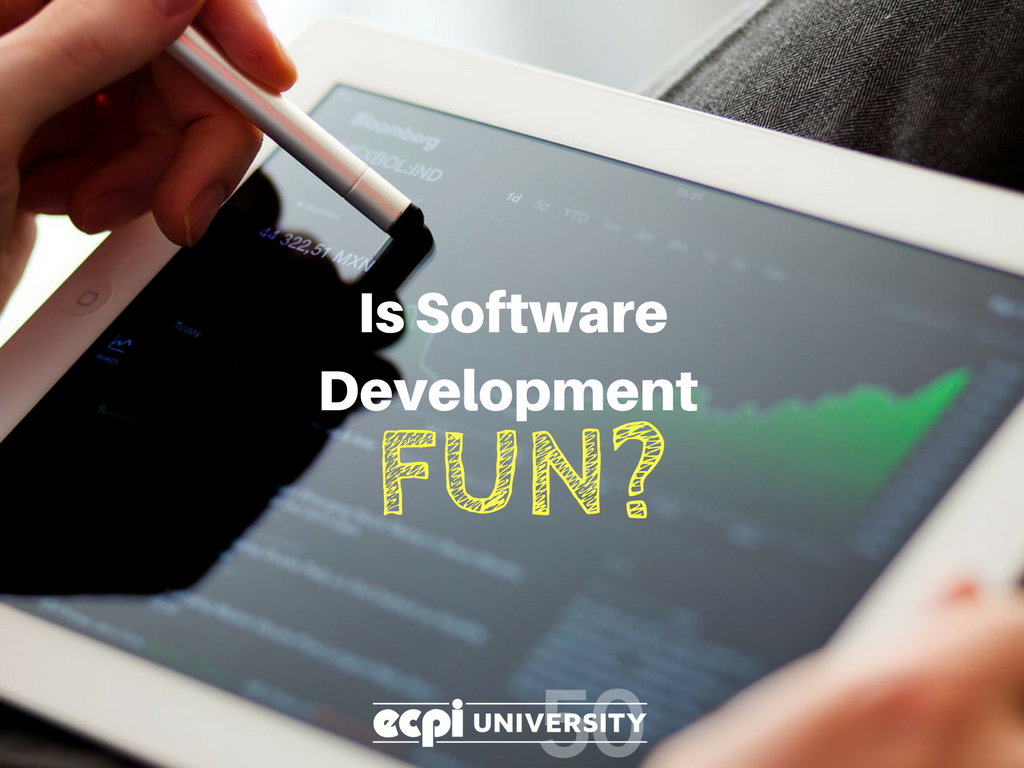 Is Software Development Fun?