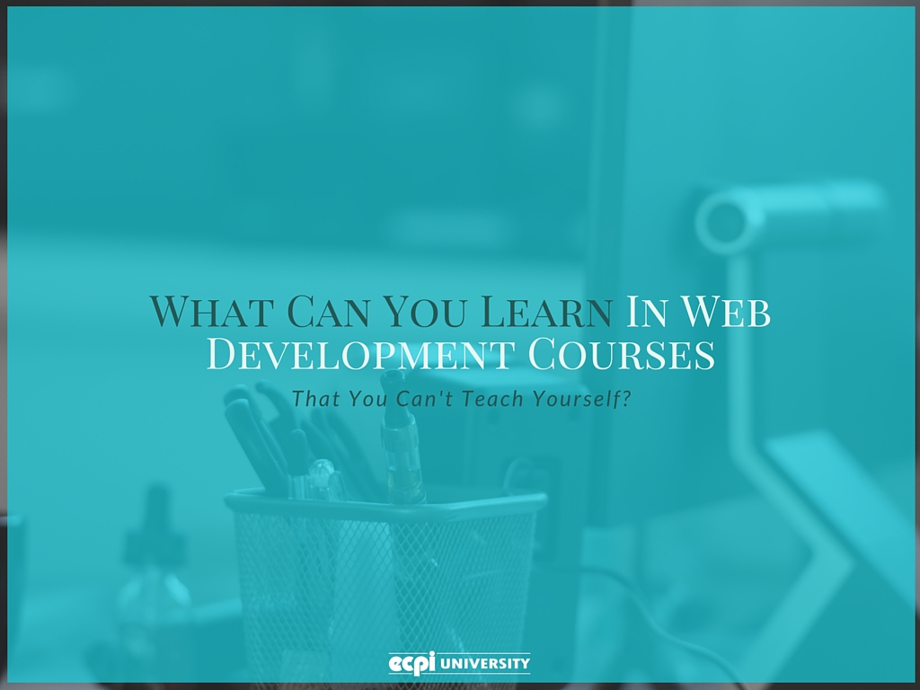 web development courses