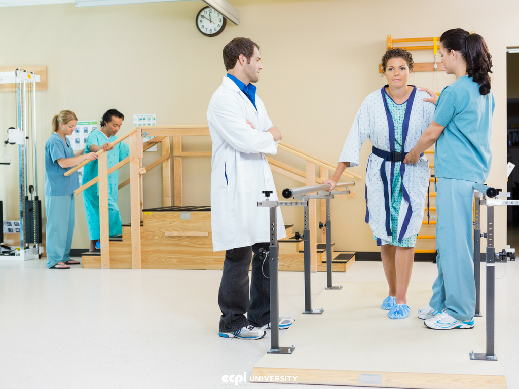 Why I Want to be a Physical Therapist Assistant