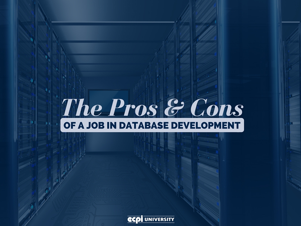 career in database development: pros and cons