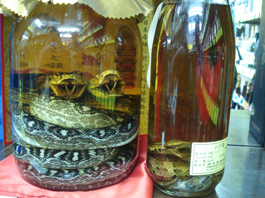 Snake Wine