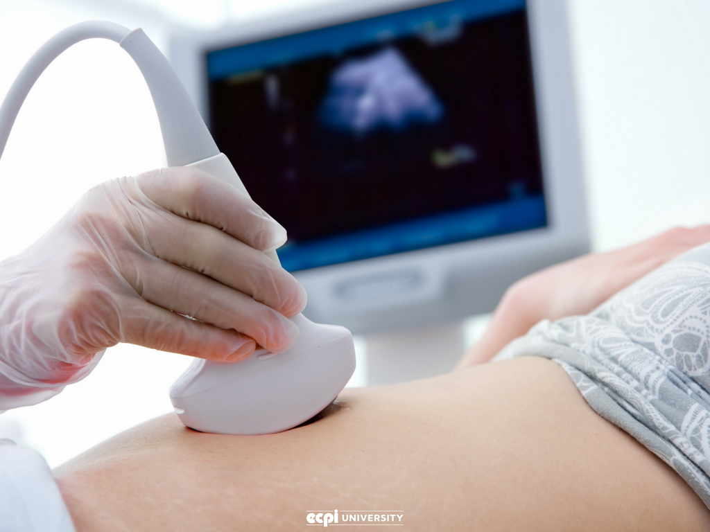 Sonography Student Blogs You Need to be Following