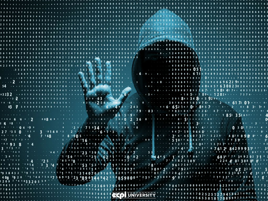 Why Do Hackers Hack Websites and How Can I Help Stop Them?