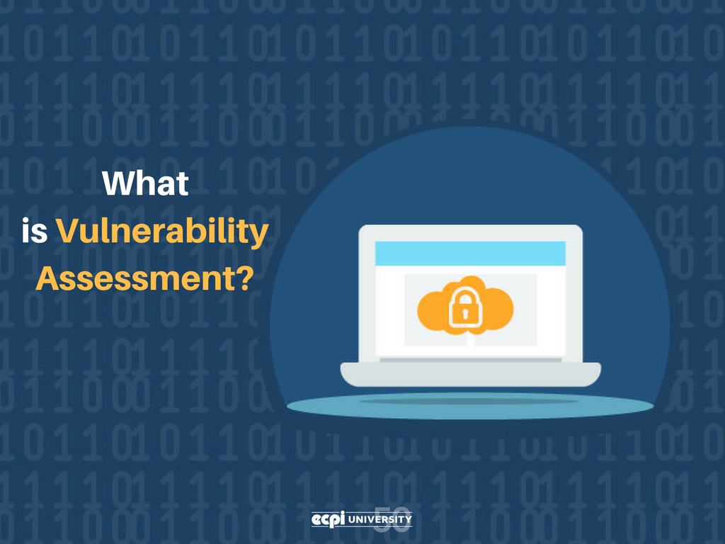 What is Vulnerability Assessment in Cyber Security?