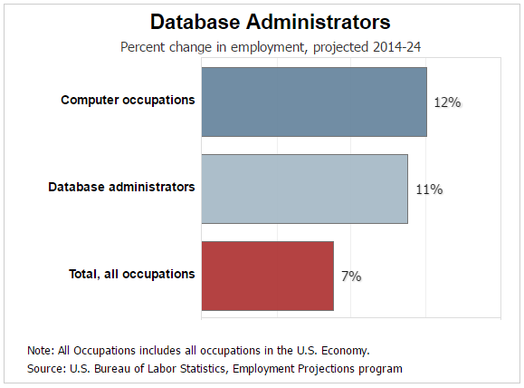 What's the Career Outlook for Database Programming?