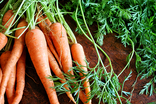 carrots brain food