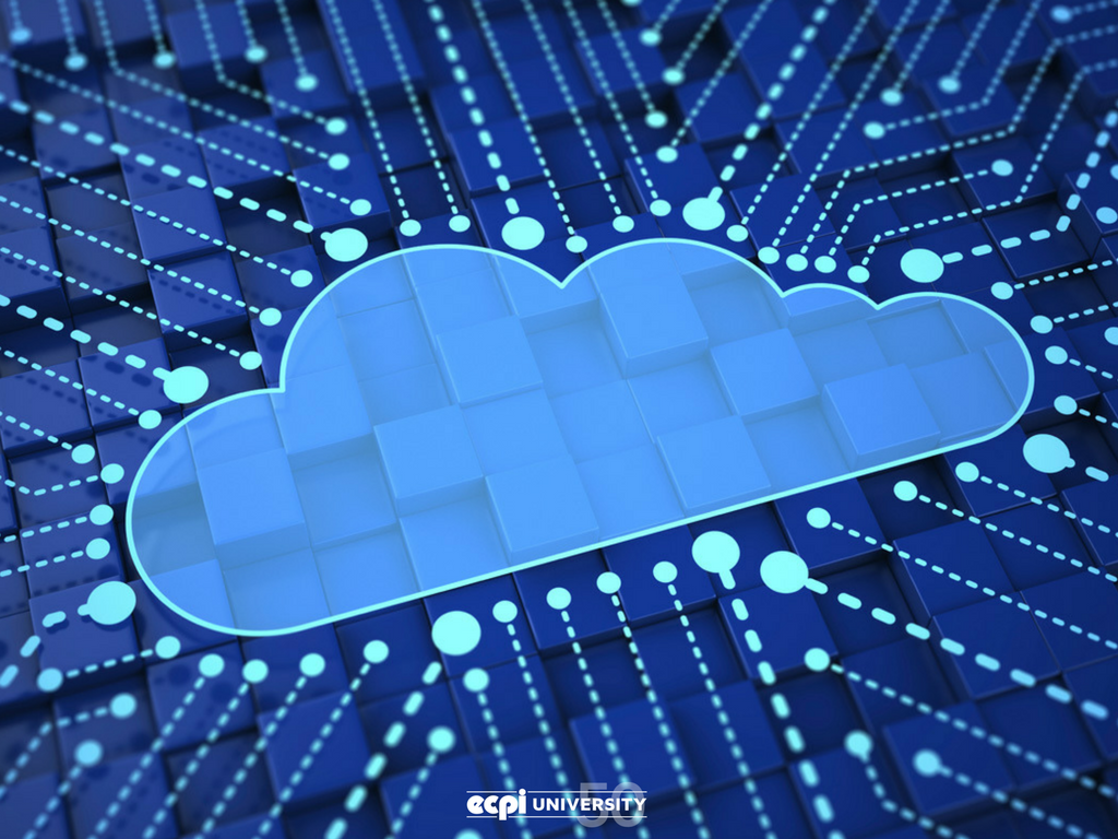 Cloud Computing Curriculum: What does it Entail?