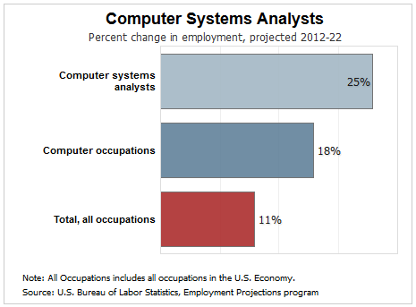 computer system analyst