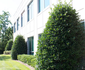ECPI Raleigh NC Building ECPI Raleigh NC Building