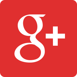 Google Plus icon