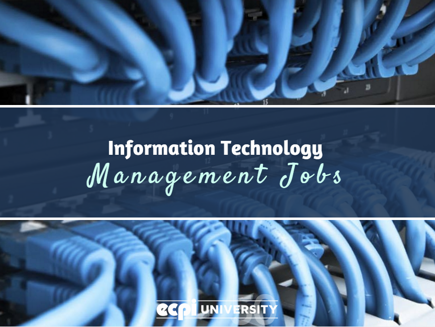 Information Technology Management Jobs