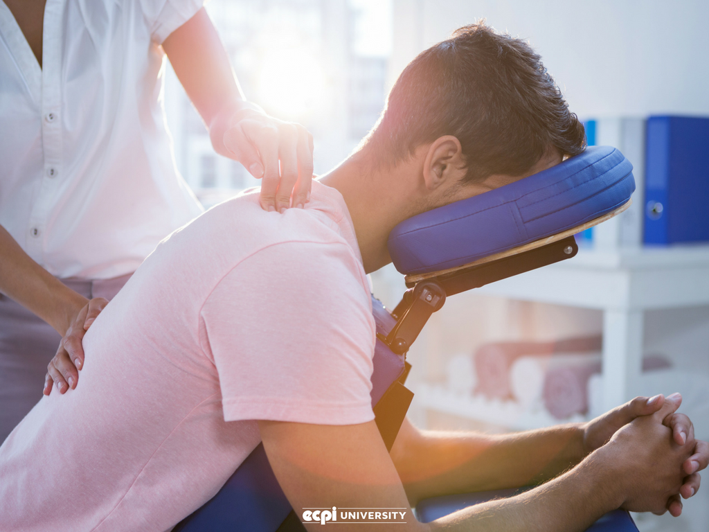 Massage Therapy Certification vs. License: Do I Need Both?