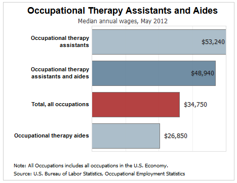 Physical Therapist Assistant or Occupational Therapist Assistant, anyone work in these jobs on here?