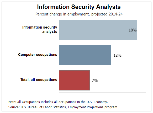 How Much Does a Cyber Security Analyst Make?