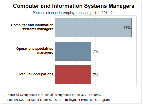 How to Become an IT Manager