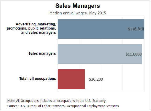 How do You Become a Sales Manager?