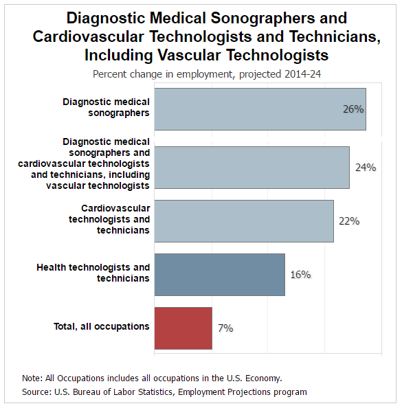 How do you Become an Ultrasound Technologist?