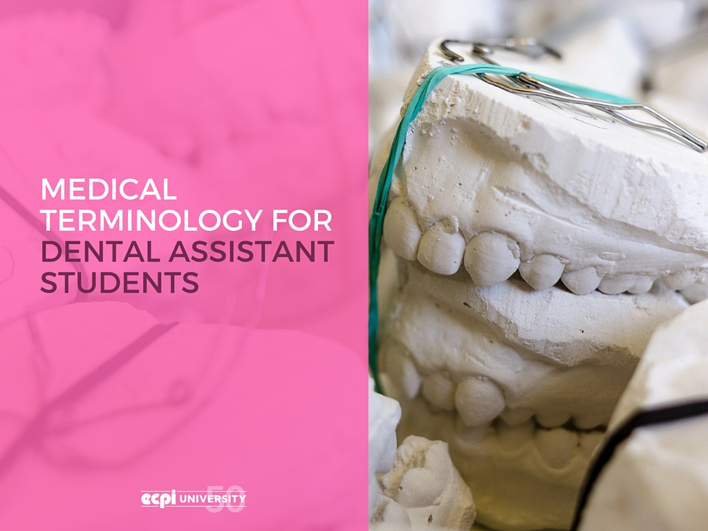 Medical Terminology for Dental Assistant Students | EPCI University