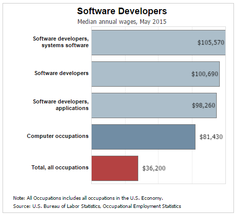 Software Development vs. Web Development: What Should I Concentrate In?