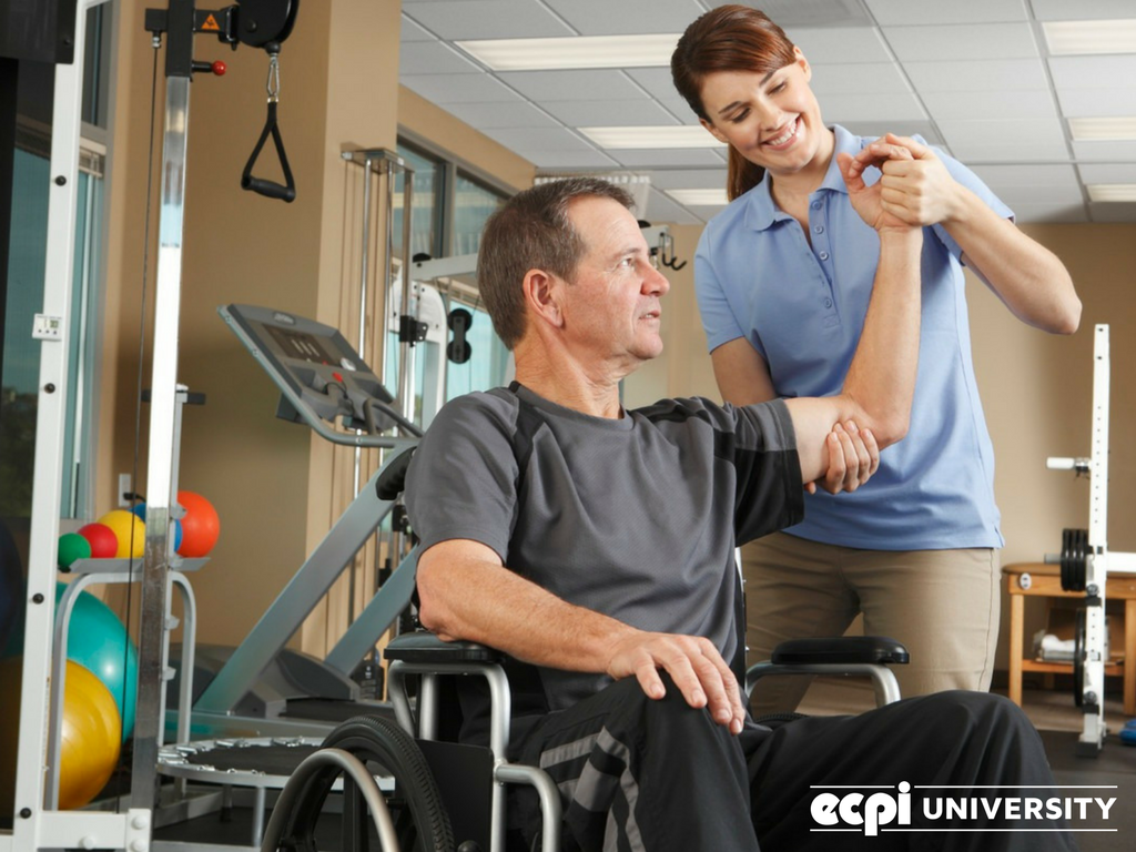 Are Physical Therapist Assistants Satisfied with their Work?