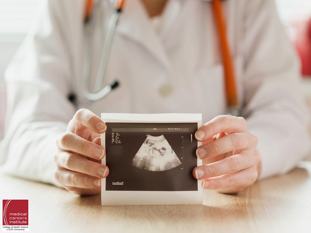 sonography and ultrasound differences