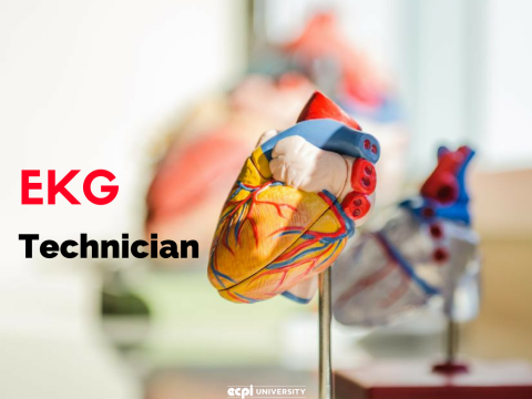 How do you Become an EKG Technician?