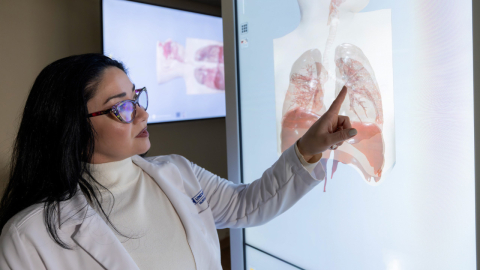 The Rising Role of Physician Assistants Blog Image