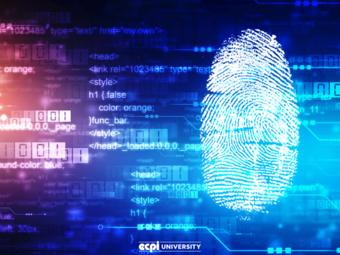 What is Digital Forensics in Cyber Security: Is This a Good Career for Me?