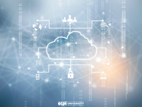What Skills Do You Need for Cloud Computing in Today's Market?