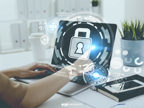 Best Cyber Security Courses to Take in College